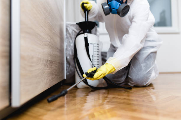 Best Best Pest Control Companies  in La Crescent, MN