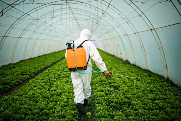 Best Best Pest Control Companies  in La Crescent, MN