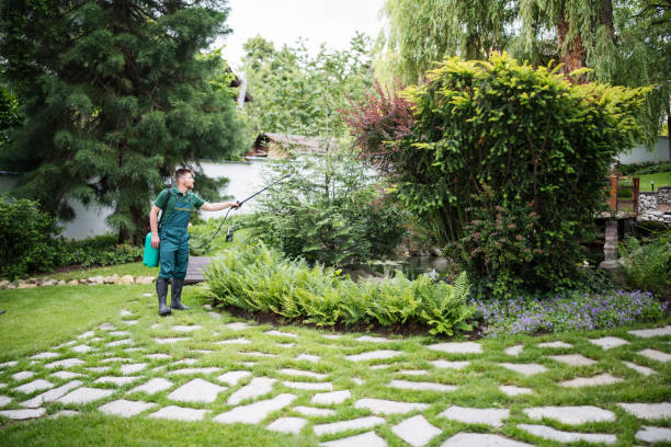 Trusted La Crescent, MN Pest Control Experts
