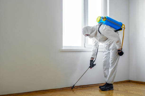 Best Pest Inspection Near Me  in La Crescent, MN