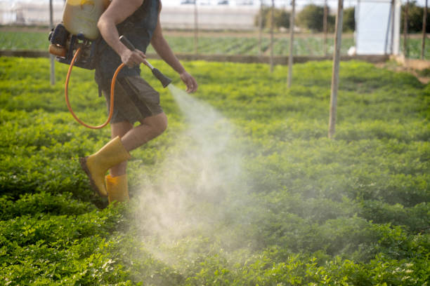 Best Wasp Removal Services  in La Crescent, MN