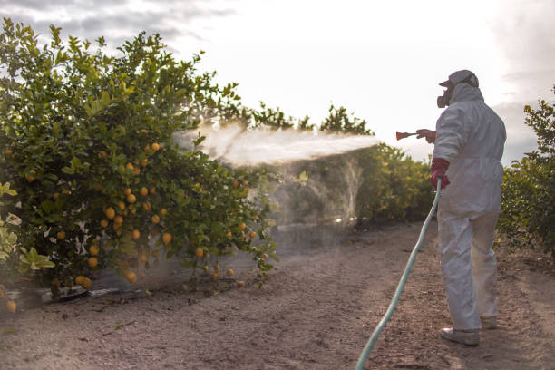 Best Emergency Pest Control  in La Crescent, MN