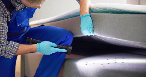 Reliable La Crescent, MN Pest Control Solutions