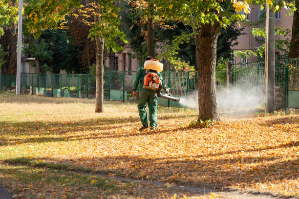 Best Pest Control Near Me  in La Crescent, MN