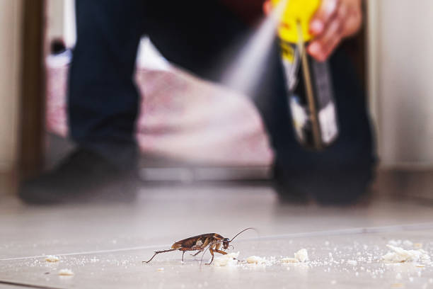Best Bed Bug Extermination  in La Crescent, MN