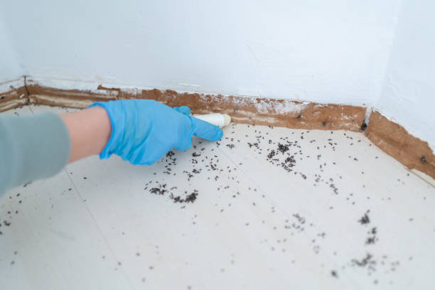 Best Local Pest Control Services  in La Crescent, MN