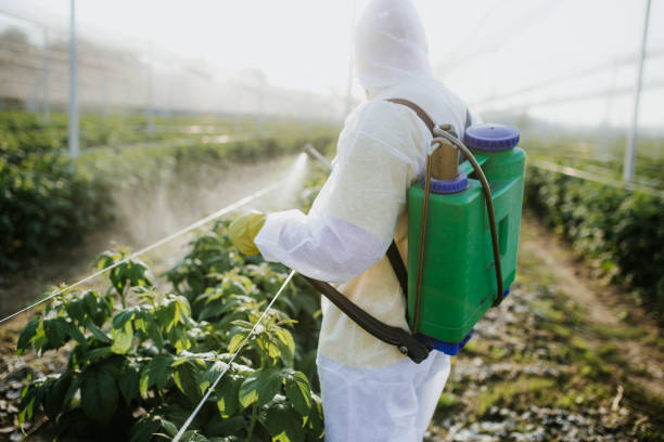 Best Pest Control Near Me  in La Crescent, MN